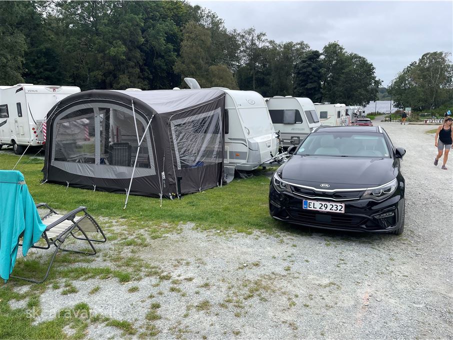 LMC Cello 440 D