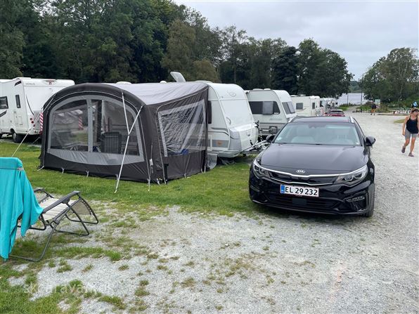 LMC Cello 440 D