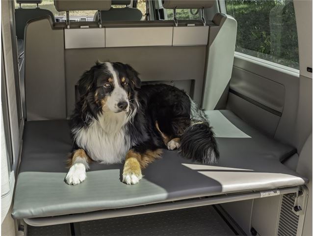 Hundemadras - bageste støtte til VW T5 / T6 Californien