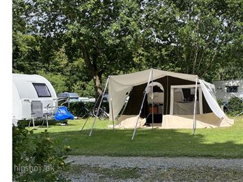 Trigano Alpha Exclusive Line