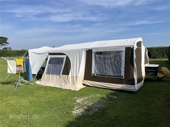 Trigano Alpha Exclusive Line