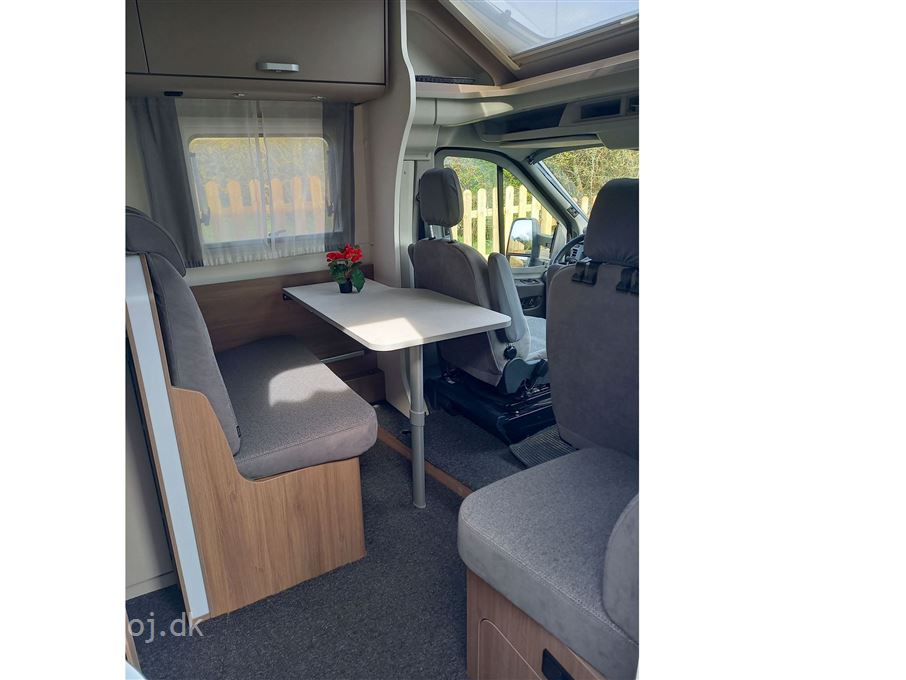 Carado T 449 Edition 24