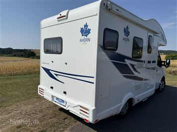 Ahorn Camp 590 T