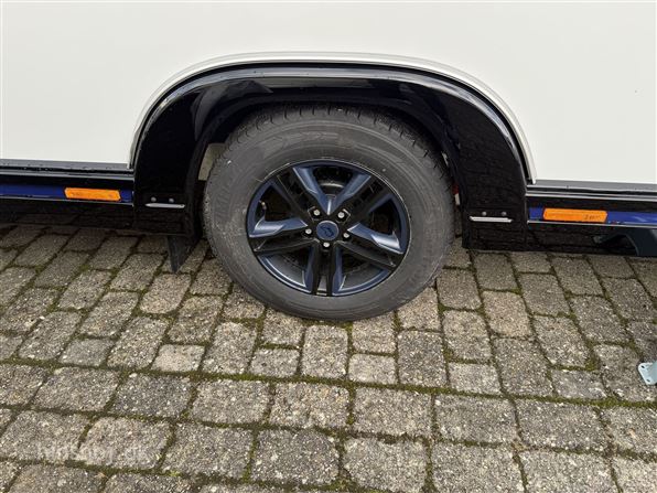 Polar BS 590 Black Edition