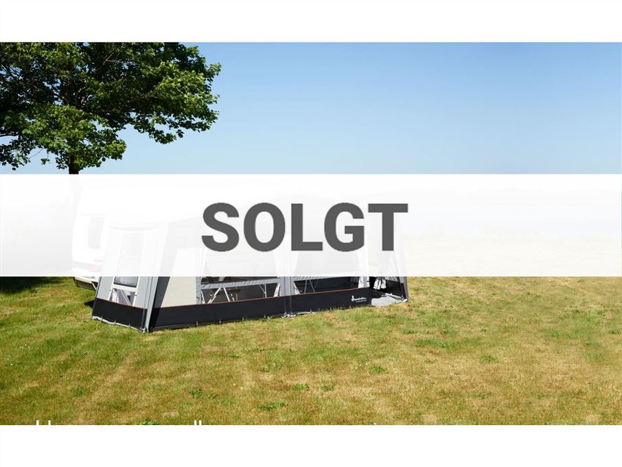 Isabella Commodore Dawn