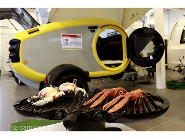 Mink Camper S