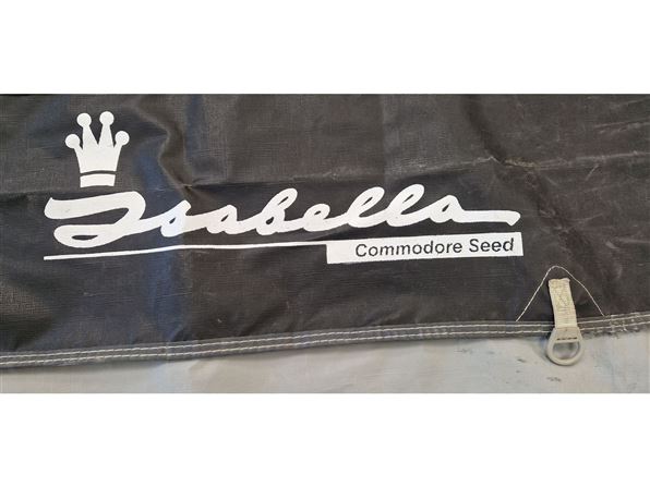 Isabella Commodore Seed