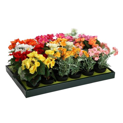 Blomster i plast potte