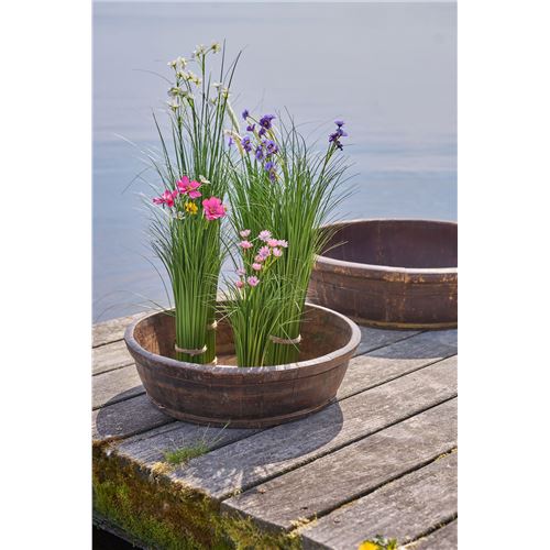 Speedtsberg Græs m/blomst H58