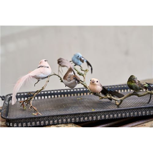 Speedtsberg Fugl m/clips 