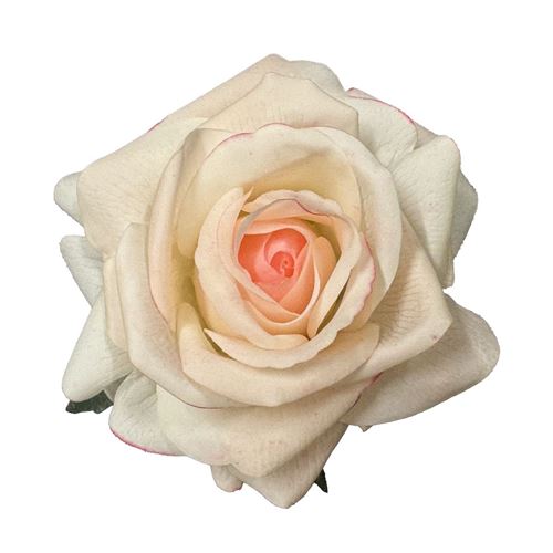 Rose hoved RT D11cm