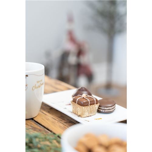 Speedtsberg kunstige Chokolader