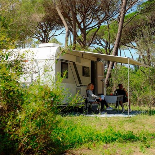 Markise "Fiamma CaravanStore Evo 320"