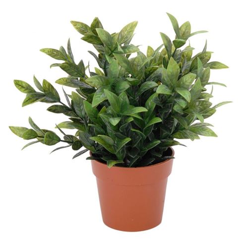 Kunstig grøn plante i potte - 25 cm høj - Vælg variant
