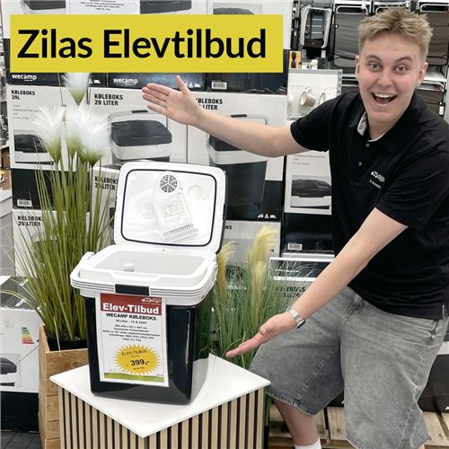Elevtilbud - Wecamp thermoelektrisk køleboks 12/230V 29 l 