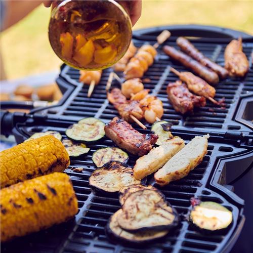 NomadiQ gasgrill - 1 stk. tilbage