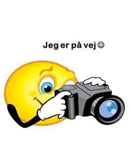 Poul Ellehauge Pedersen
