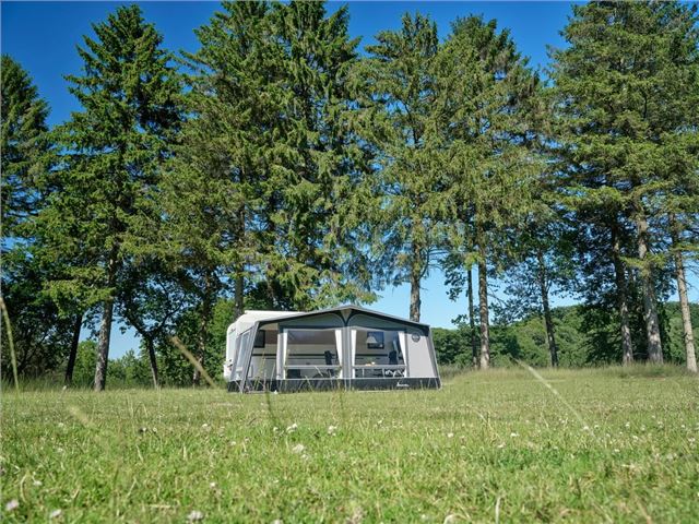 Ambassador Dawn G19 /510 Averso P 2010-2017